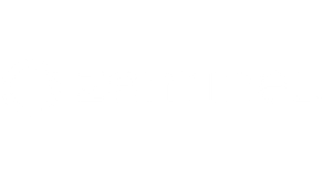 Zentinel Logo